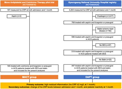 Inflammation and platelet reactivity during adjunctive colchicine versus aspirin in patients with acute coronary syndrome treated with potent P2Y12 inhibitor